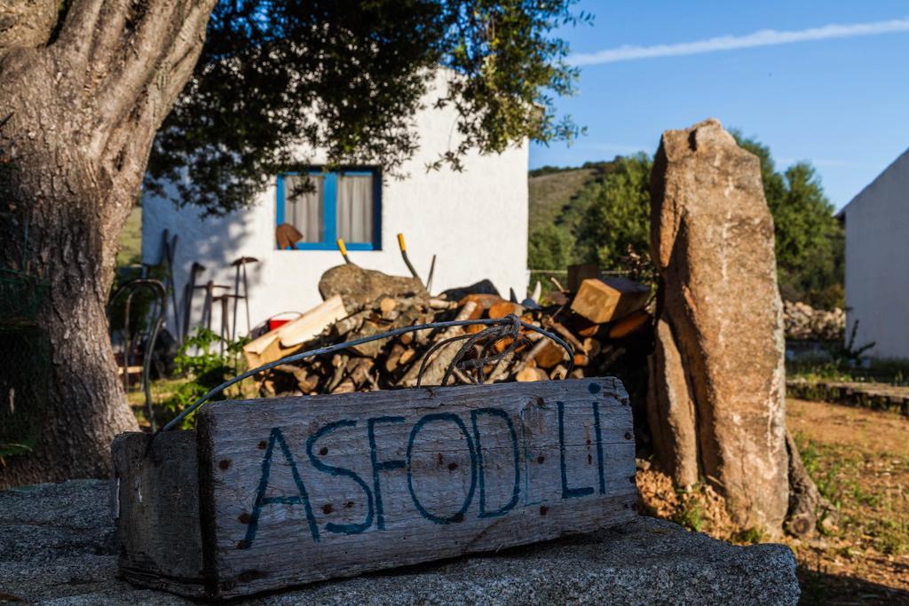 Bed and Breakfast The Old Farm Asfodeli - Adults Only Sanalvò Exterior foto