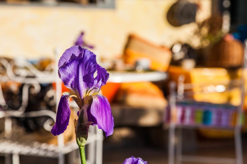 Bed and Breakfast The Old Farm Asfodeli - Adults Only Sanalvò Exterior foto